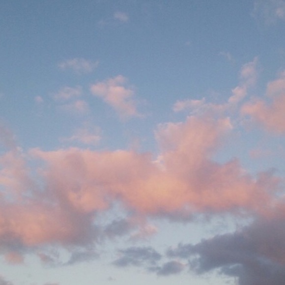 elrose_s